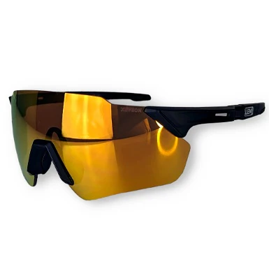 LEM EASTSIDE SUNGLASSES - BLACK / GOLD